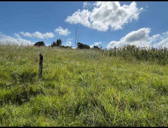 FARM FOR SALE IN BANNERS REST